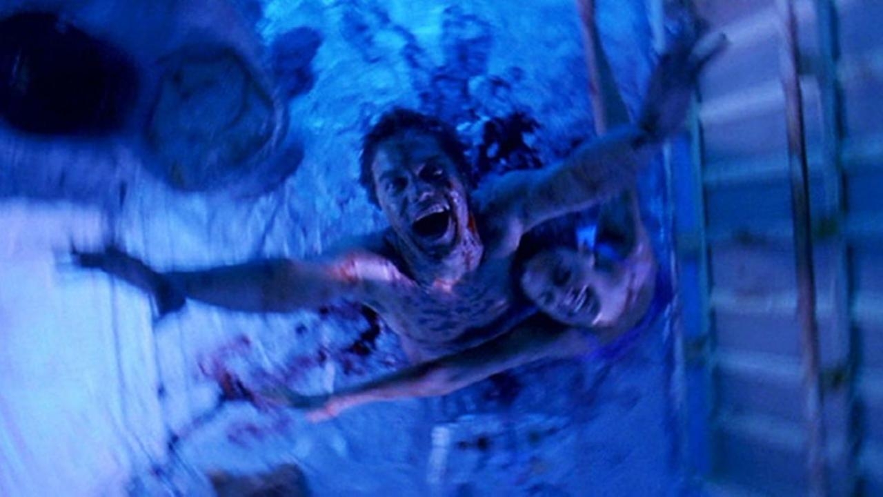 Bug Movie Essay - 2006 William Friedkin Film