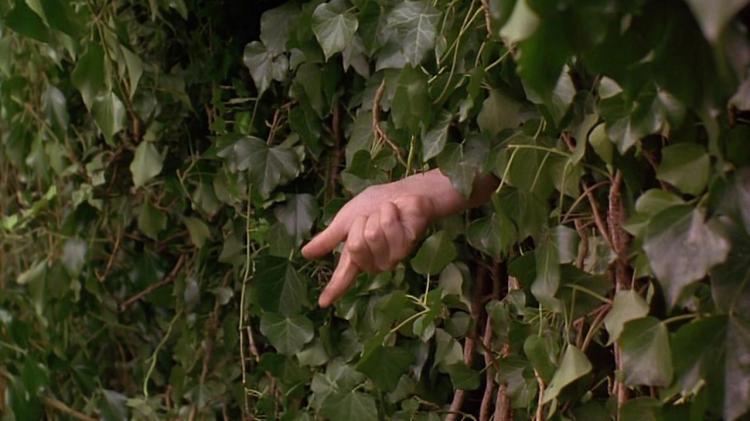 the-secret-garden-two