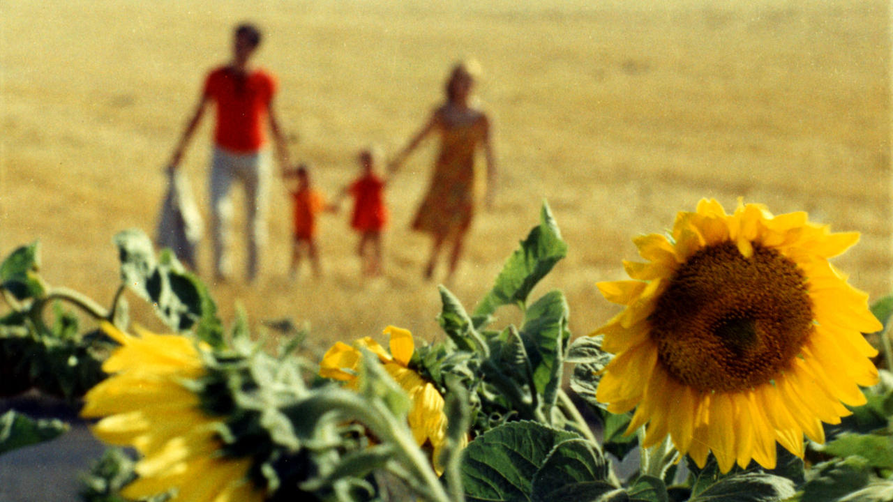 Le Bonheur Movie Essay - 1965 Agnès Varda Film