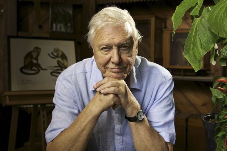 david-attenborough-one
