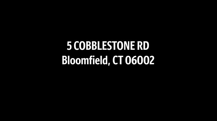 moving-picture-frances-ha-and-me-seven