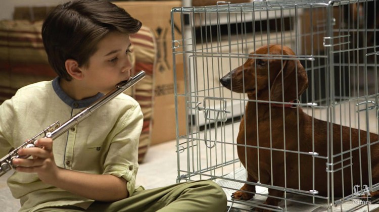 wiener-dog-movie-one