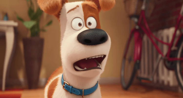 the-secret-life-of-pets-movie-six