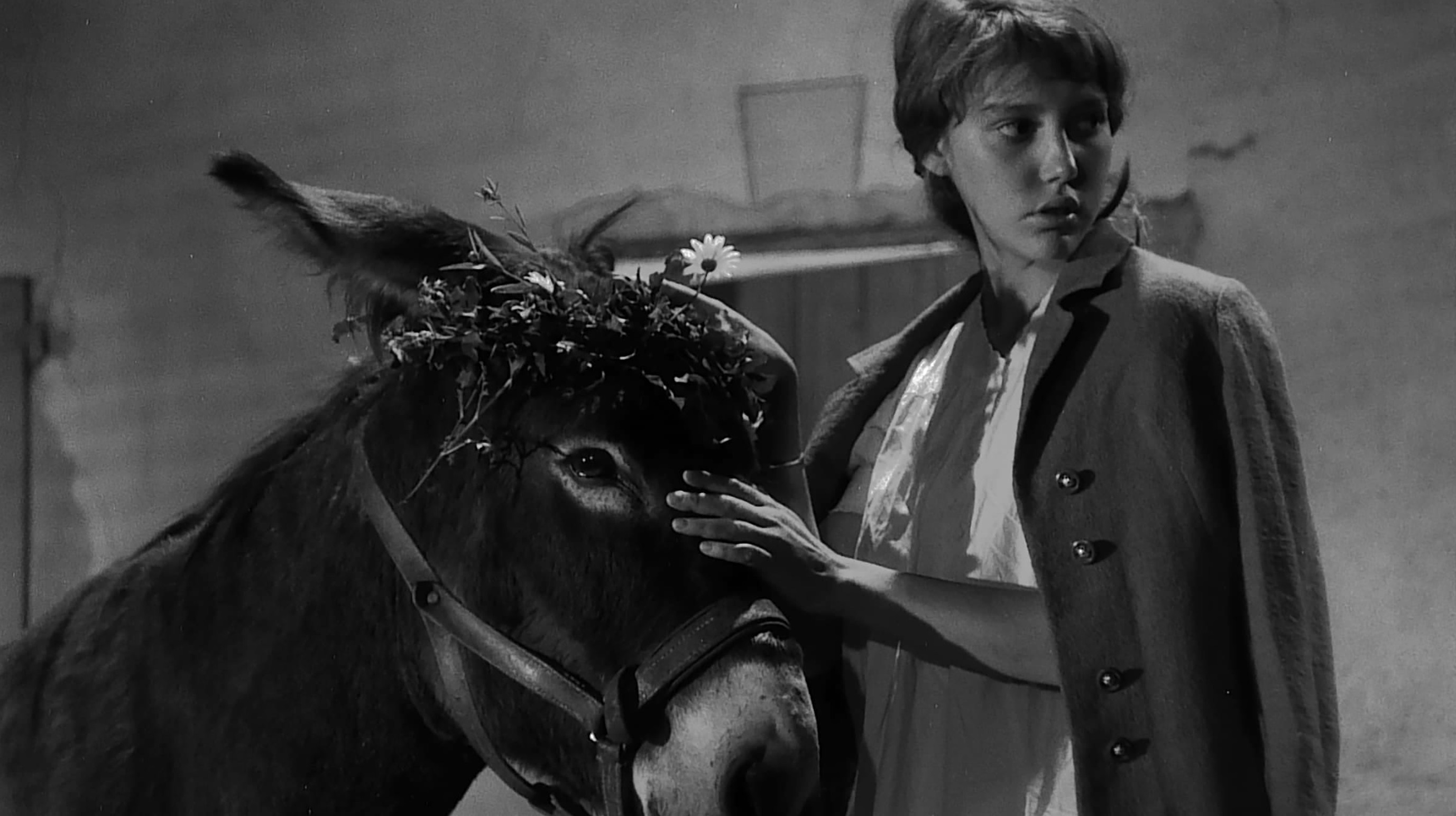Au Hasard Balthazar Movie Essay - 1966 Film