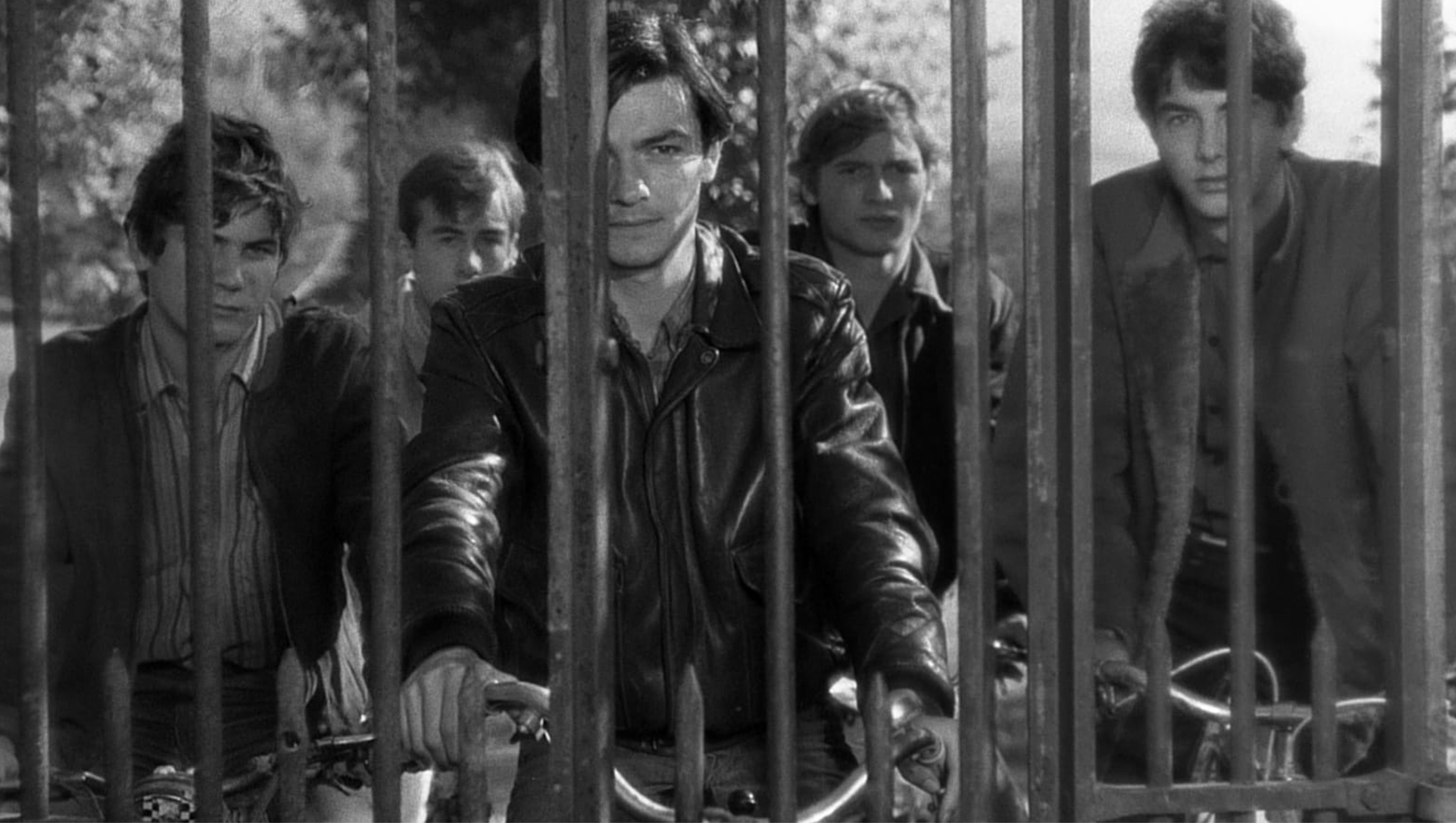 Au Hasard Balthazar Movie Essay - 1966 Film