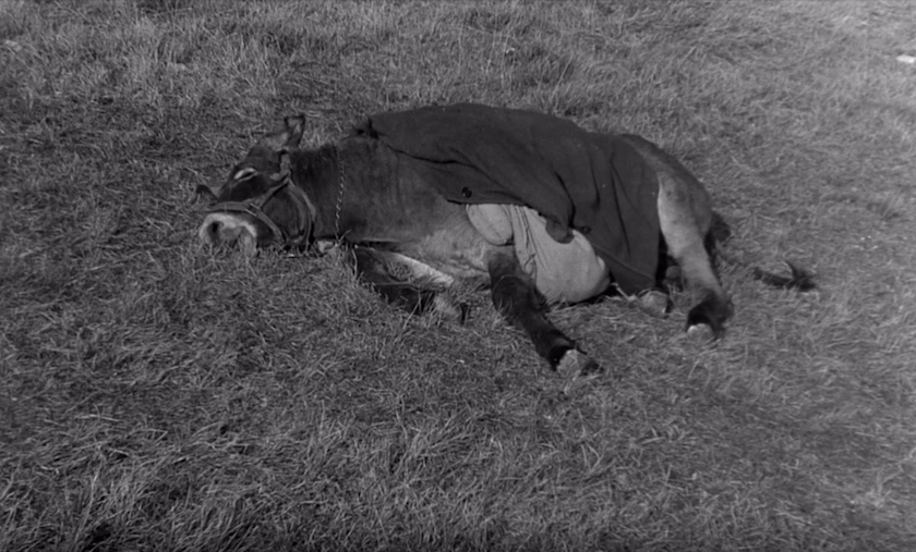 Au Hasard Balthazar Movie Essay - 1966 Film