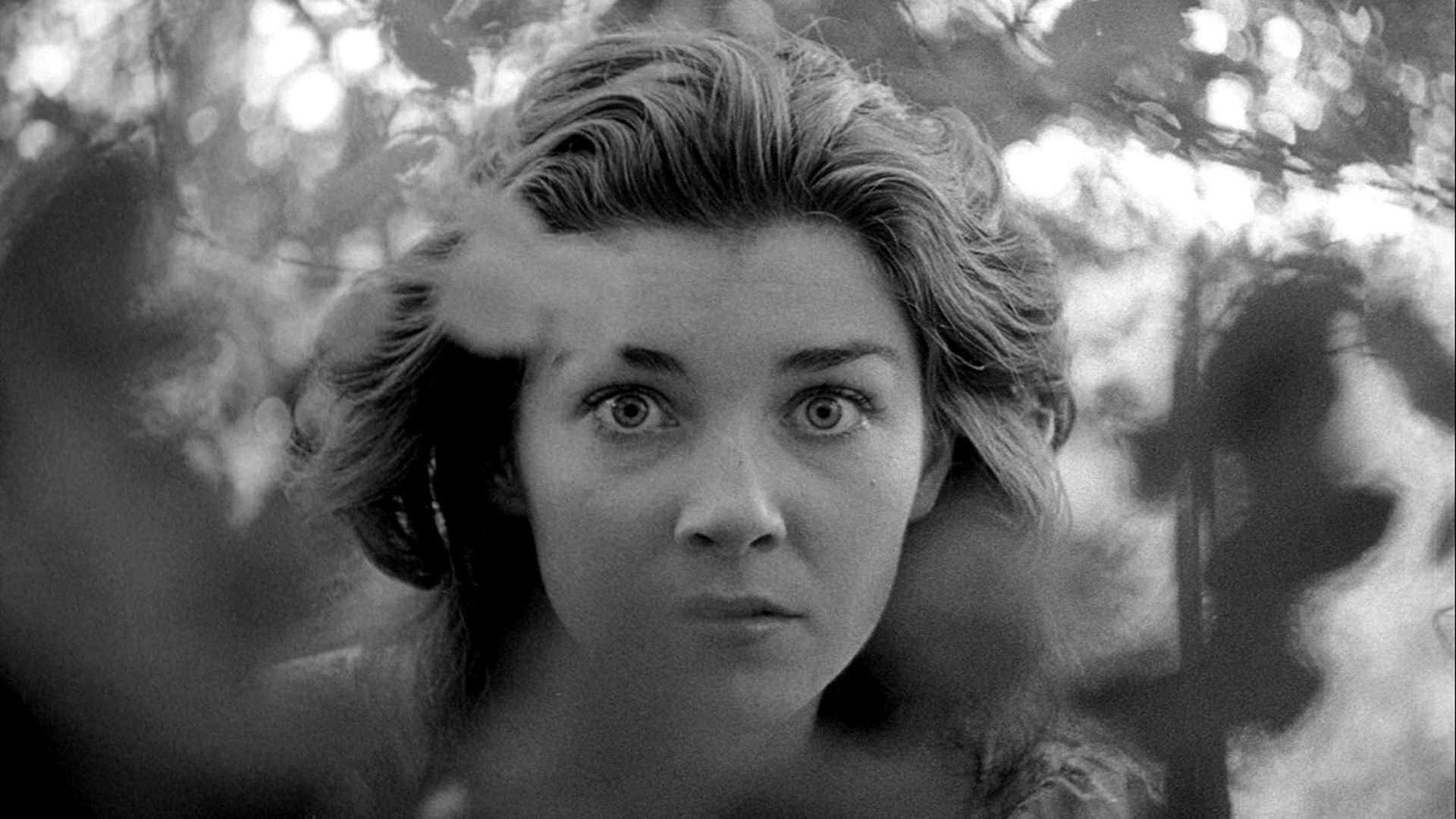 Fear and Desire Movie Essay - 1953 Stanley Kubrick Film