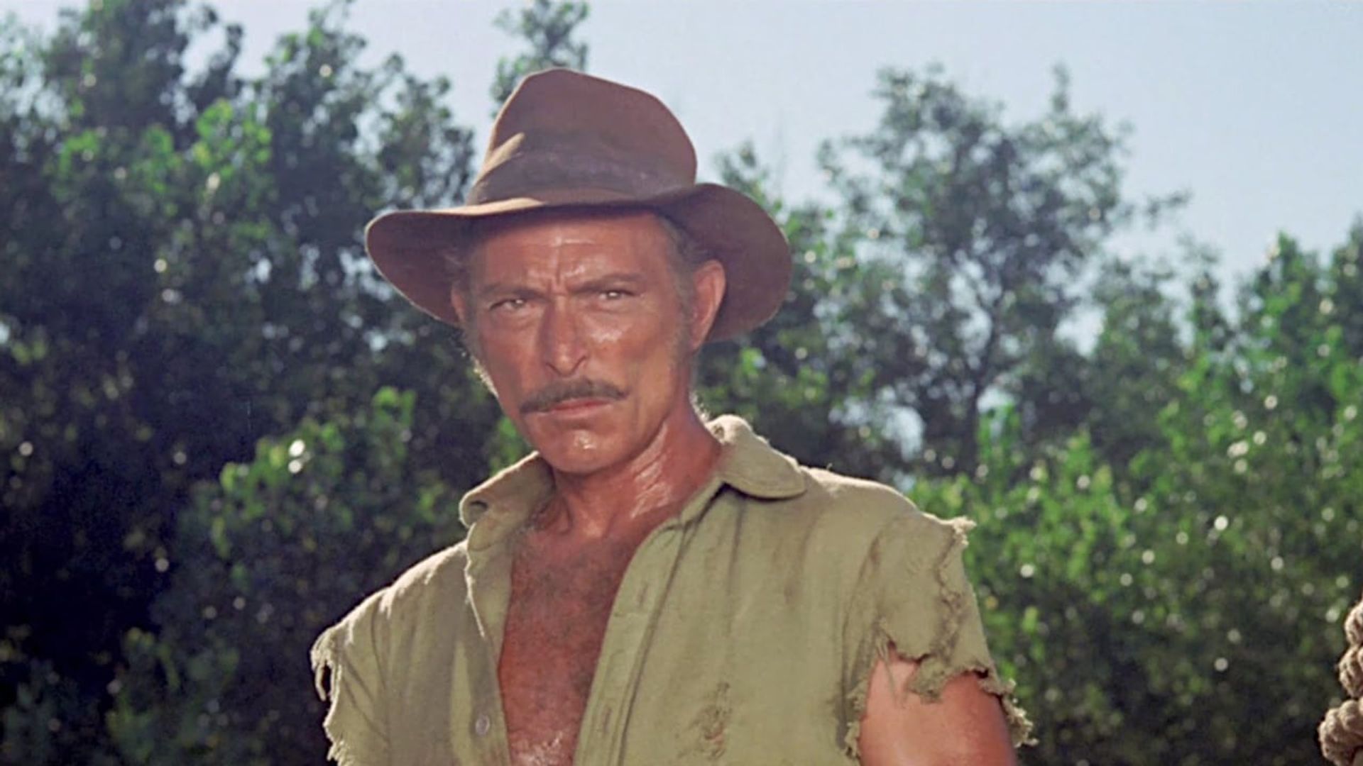 Western Movie Essay - Barquero