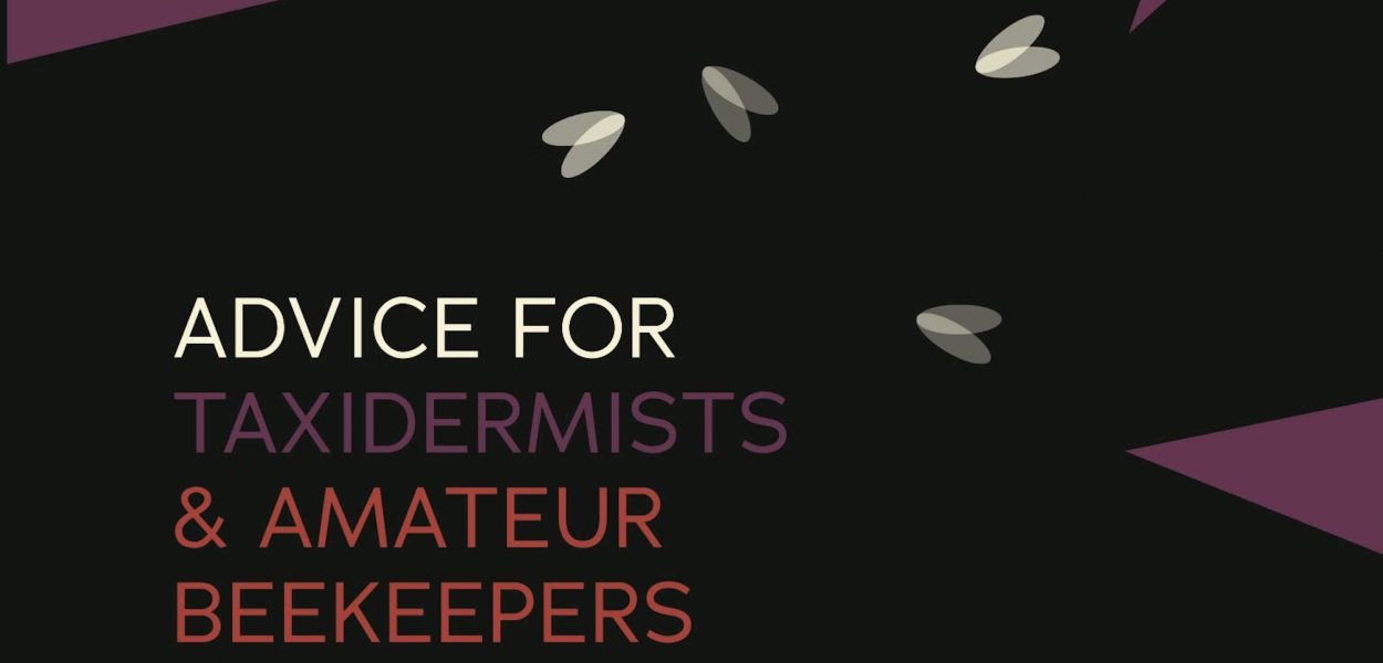 Advice for Taxidermists and Amateur Beekeepers - Book Review