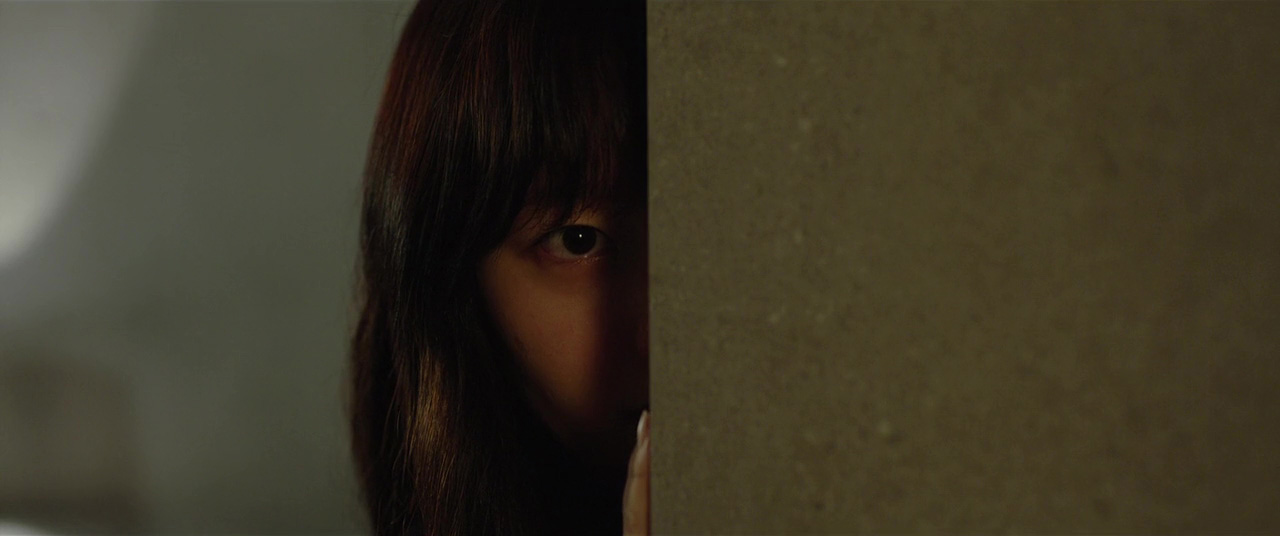 Parasite Movie - Film Essay