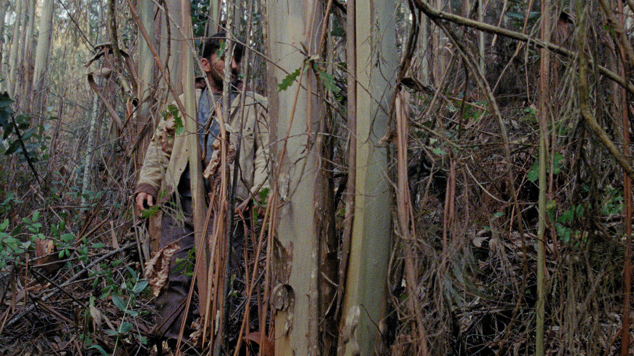 Henrique Bonacho in Alva