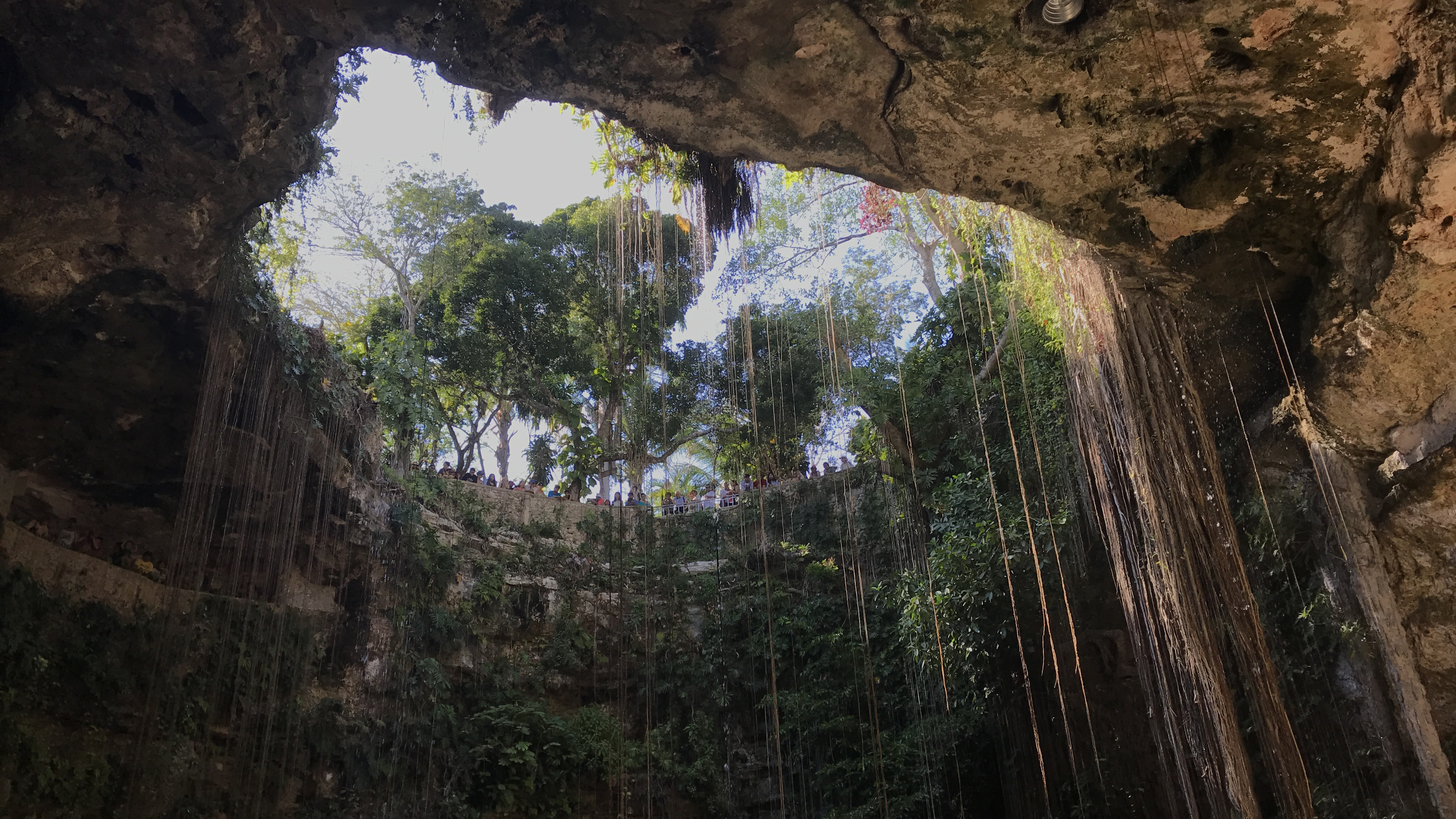 Cenote Documentary