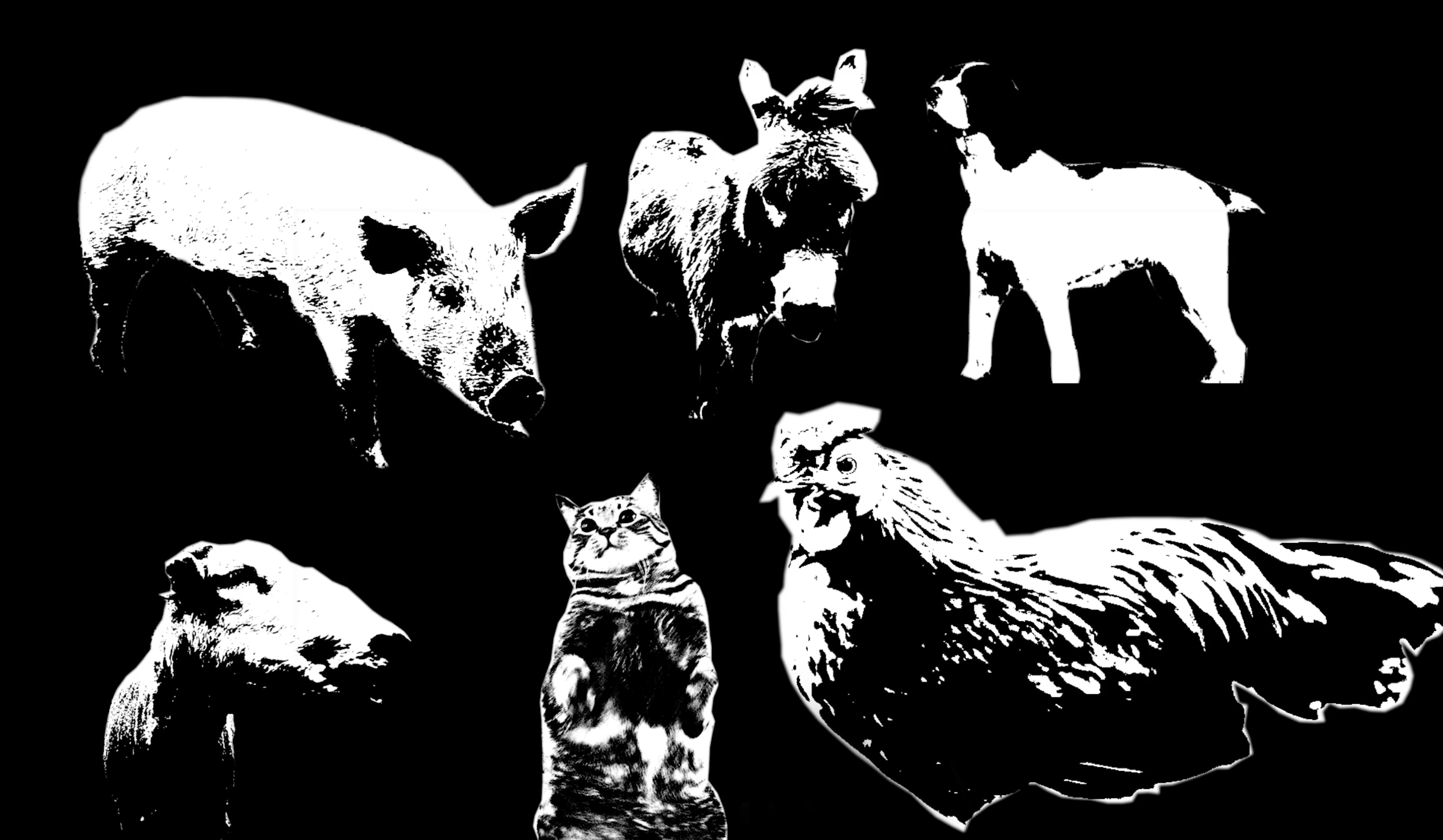 Kindred Creatures Documentary One