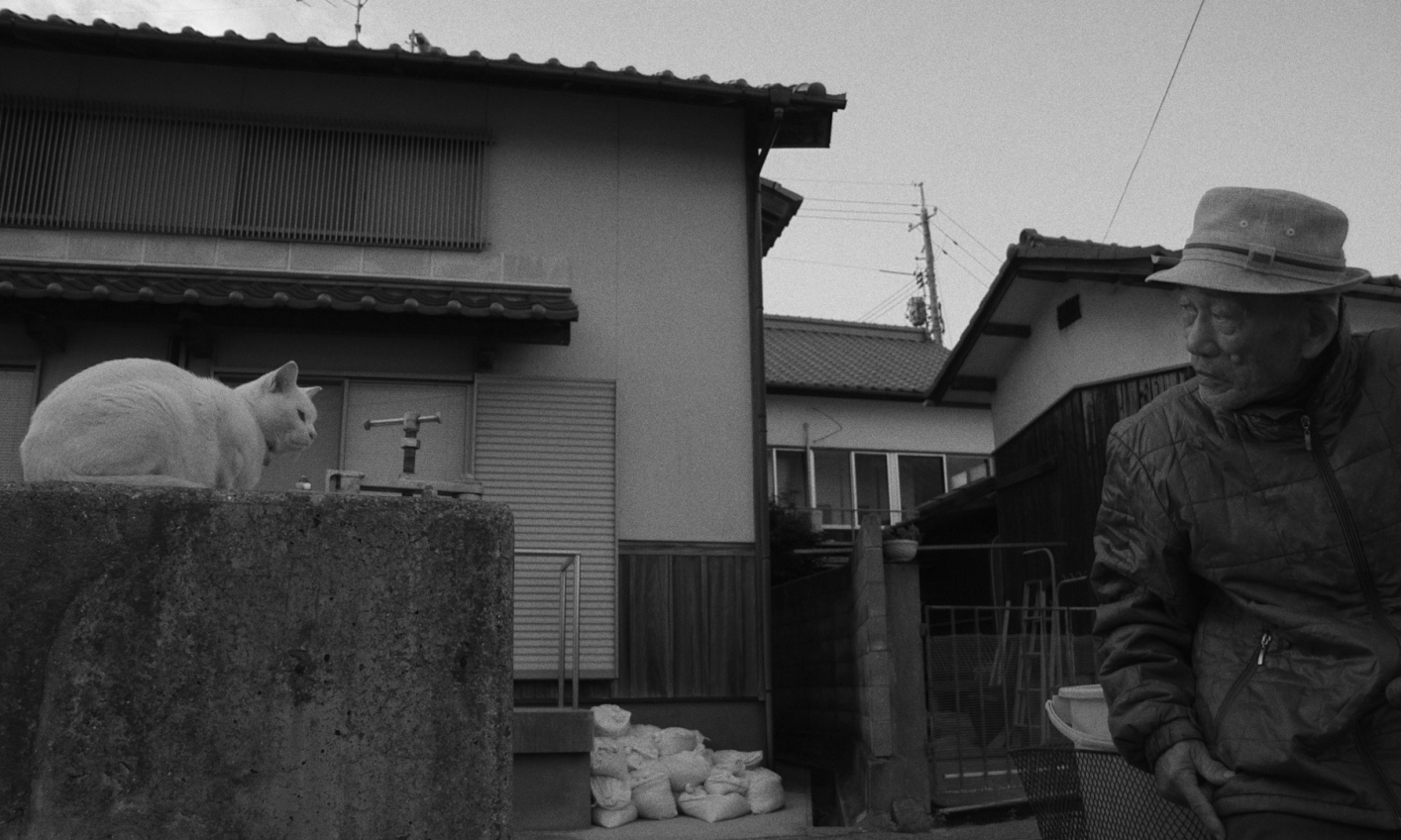 Inland Sea Documentary Observation Humility