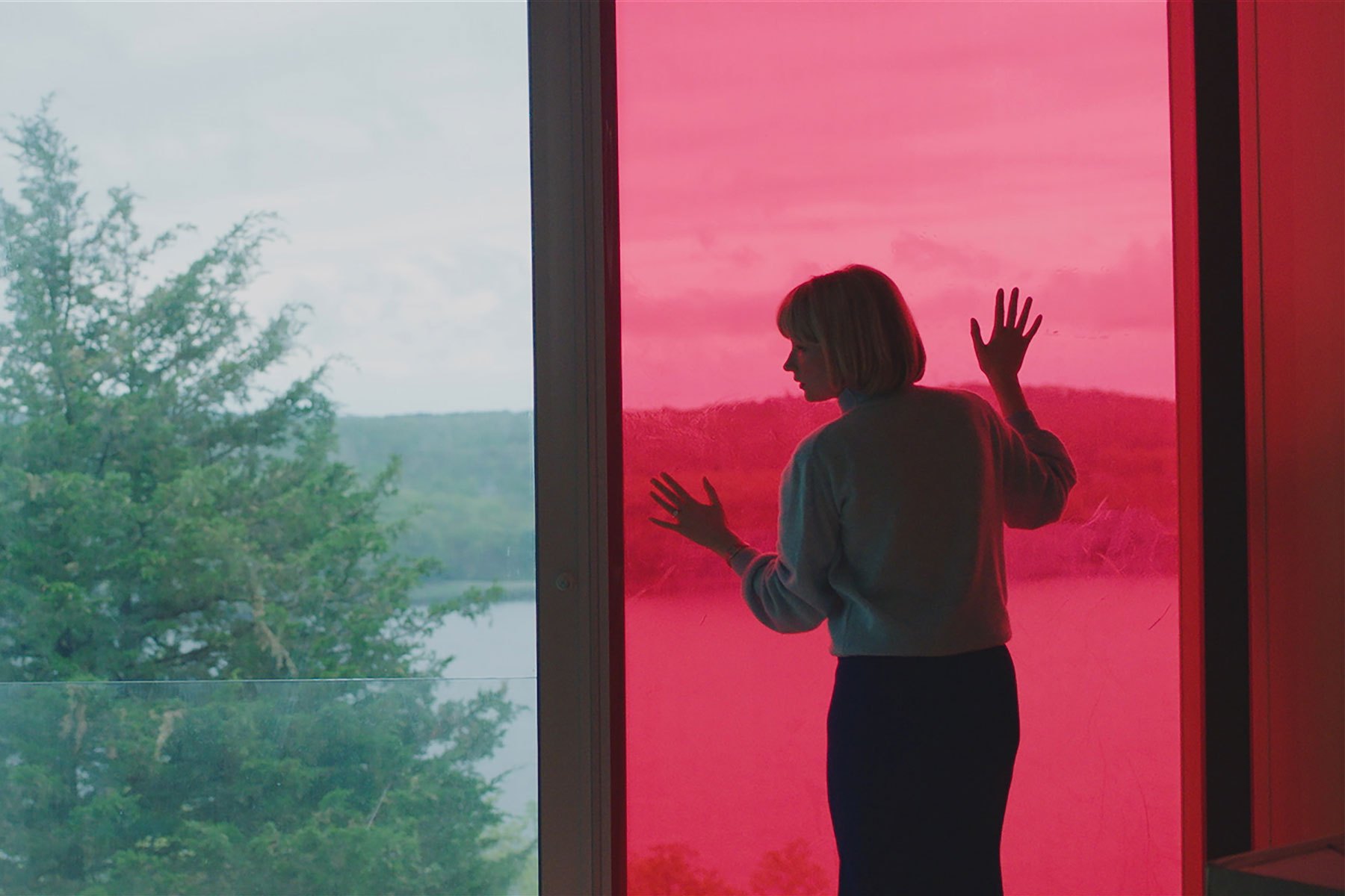 Haley Bennett in Swallow