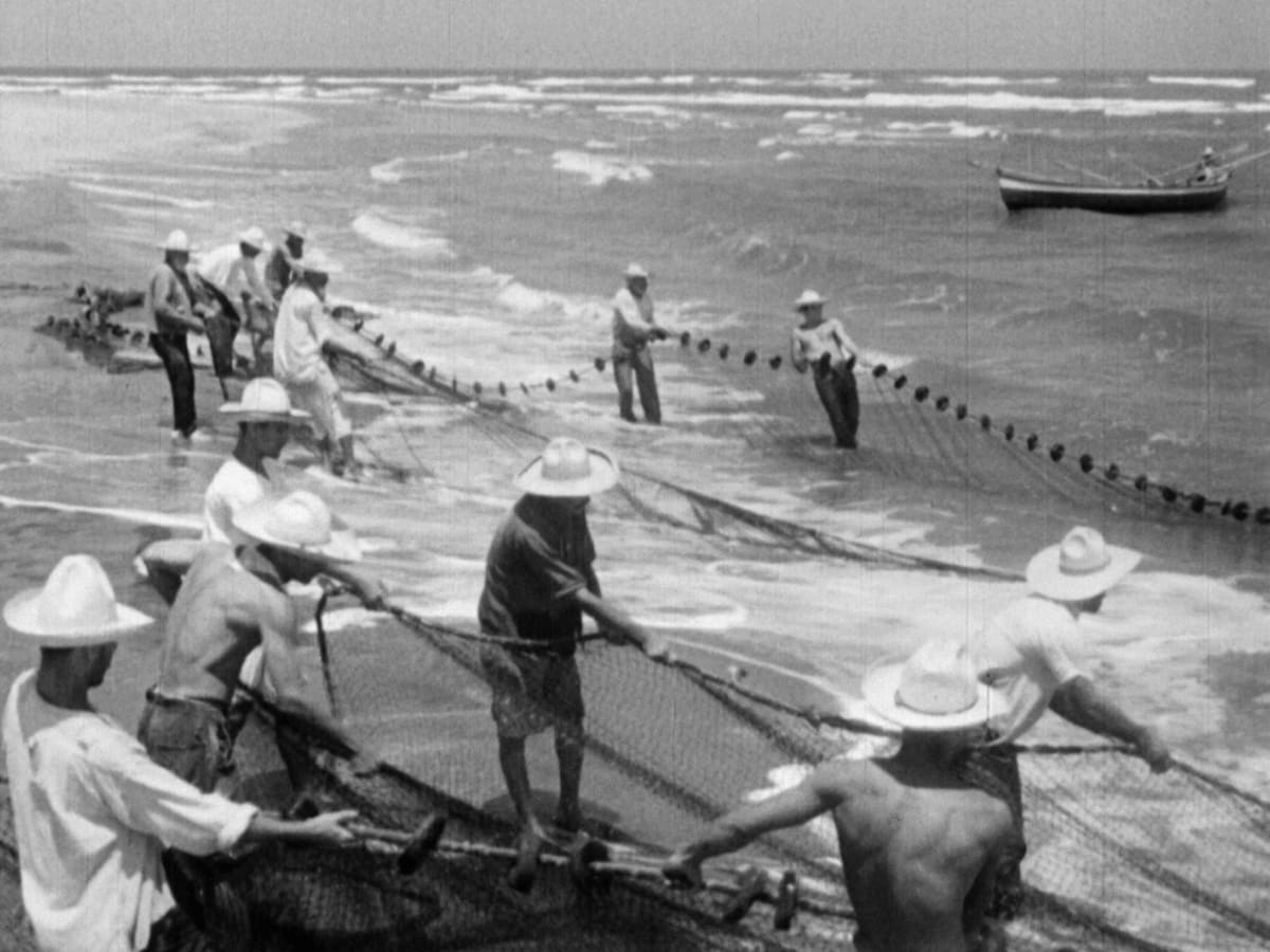 Redes World Cinema Project