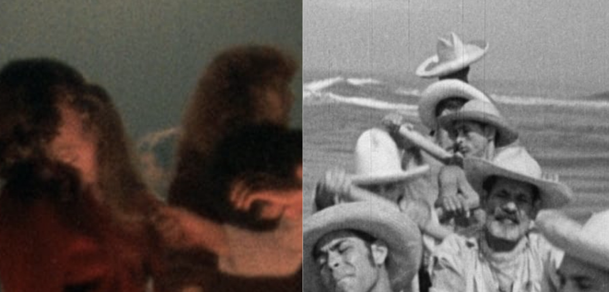 World Cinema Project Trances Redes