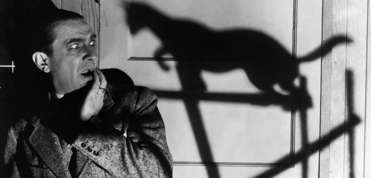 The Black Cat Movie Film