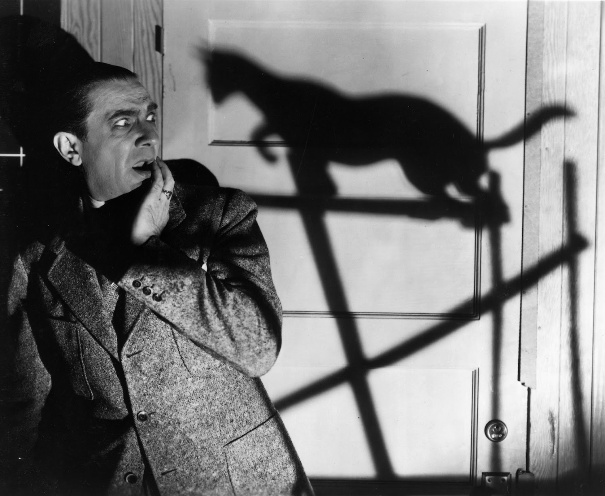 The Black Cat Movie Film