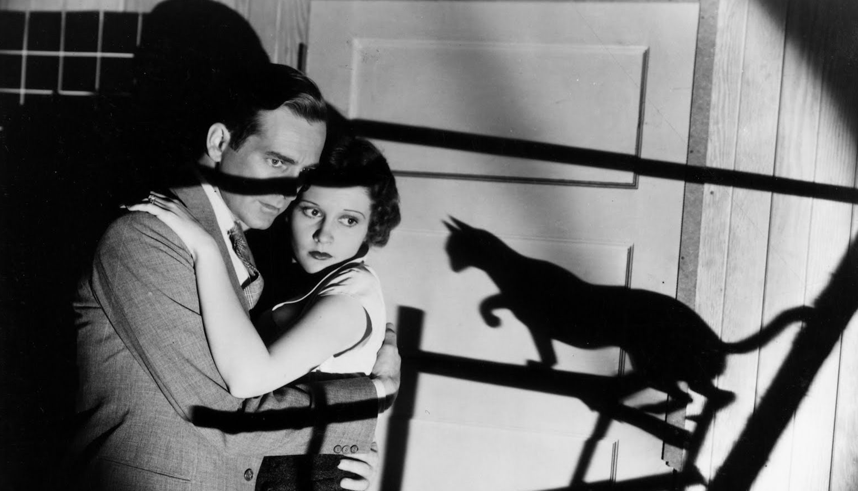 The Black Cat Movie Film