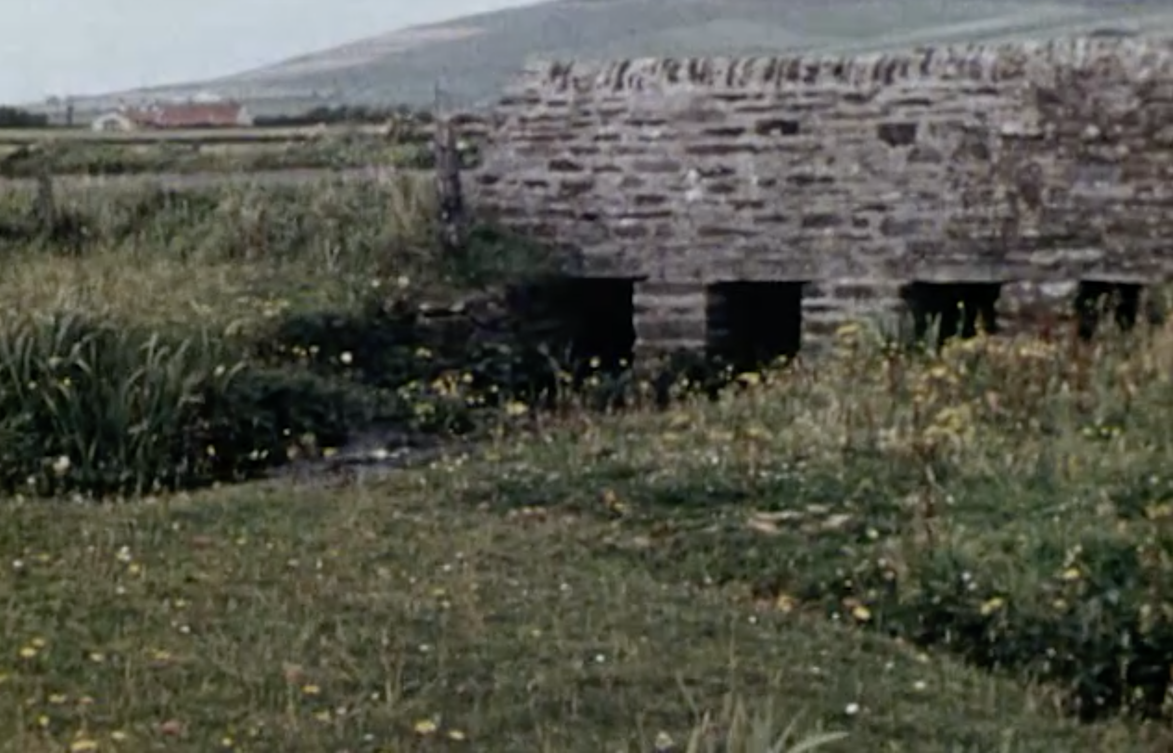 Orquil Burn - Margaret Tait