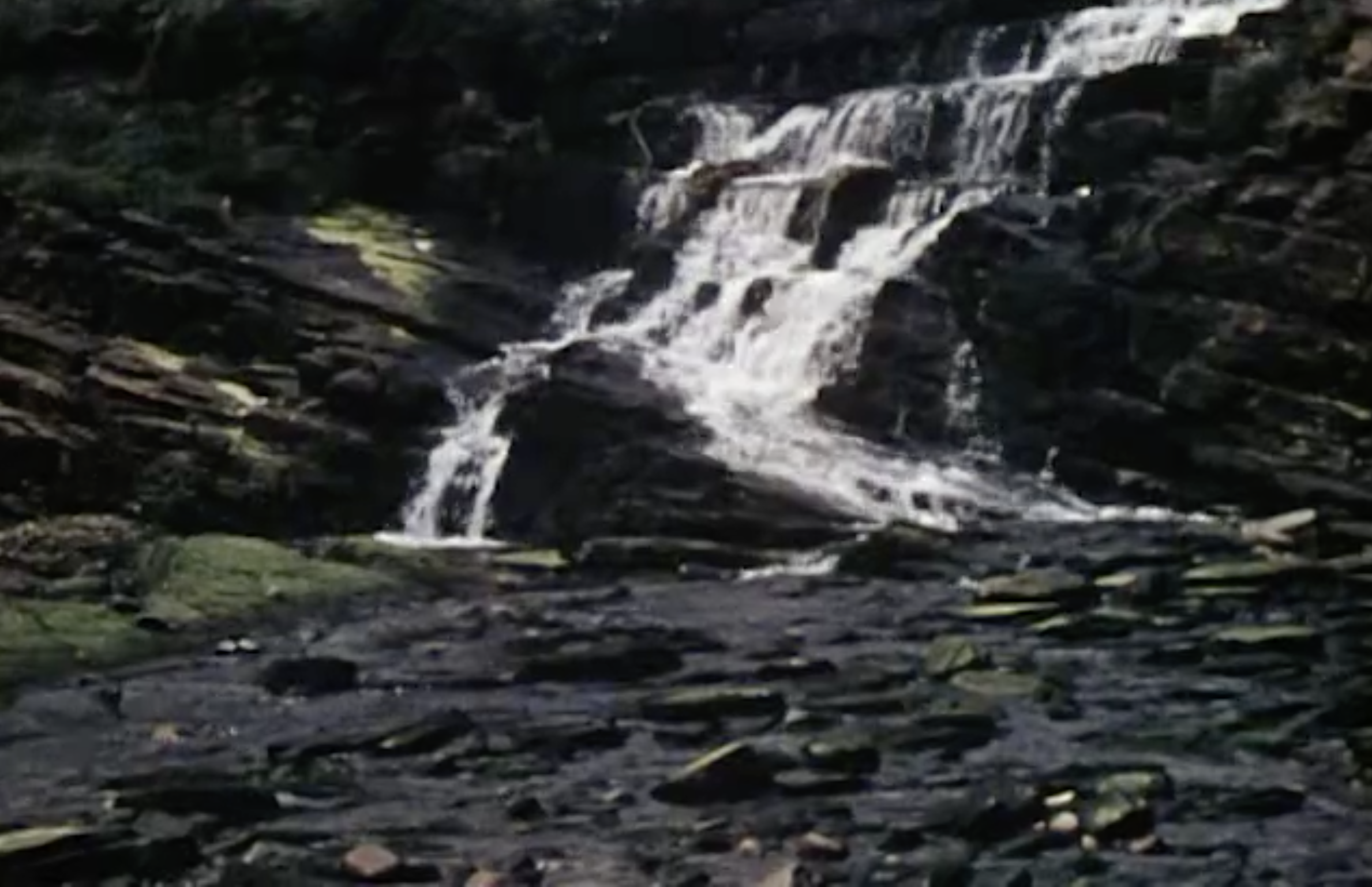 Orquil Burn - Margaret Tait