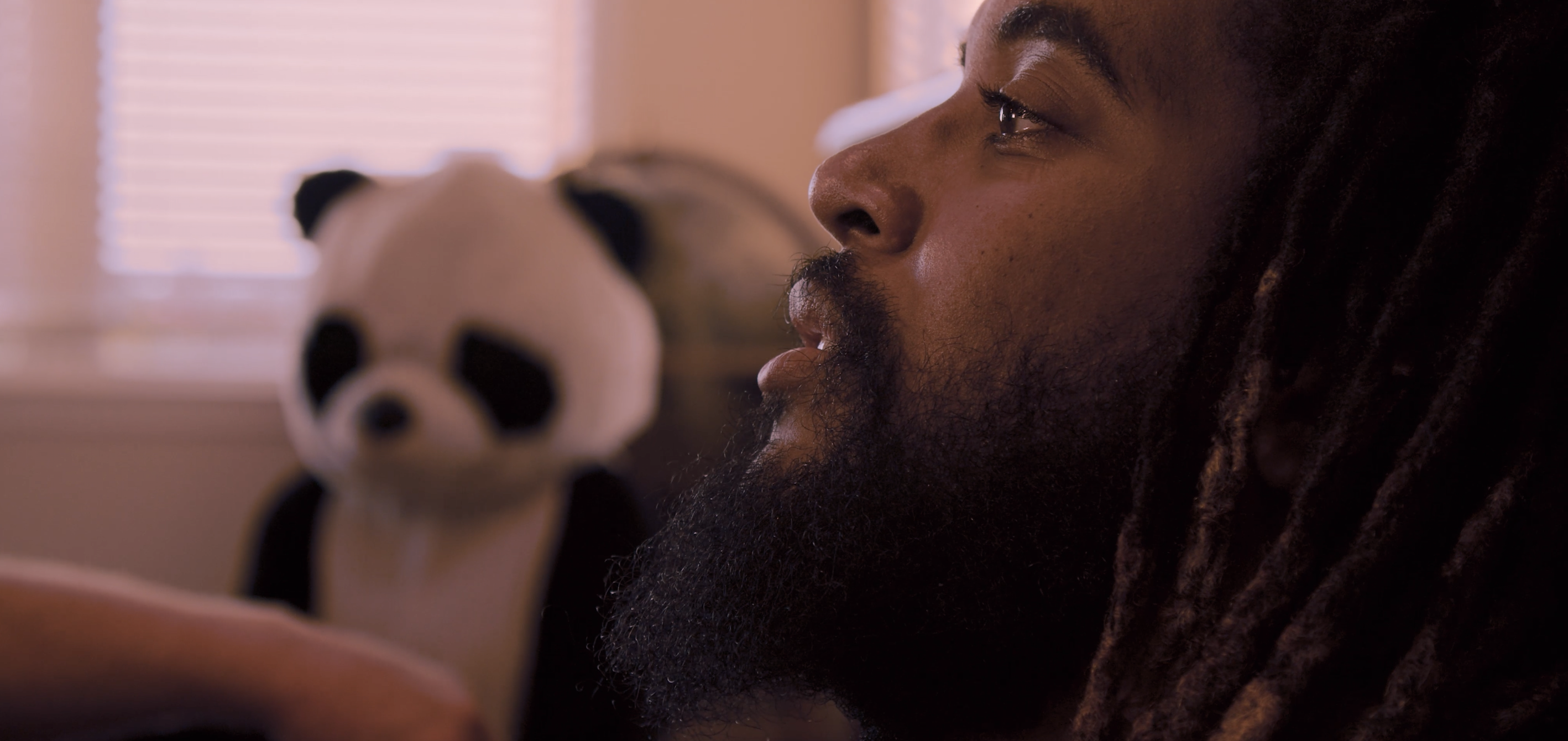 Panda Bear It Movie Film