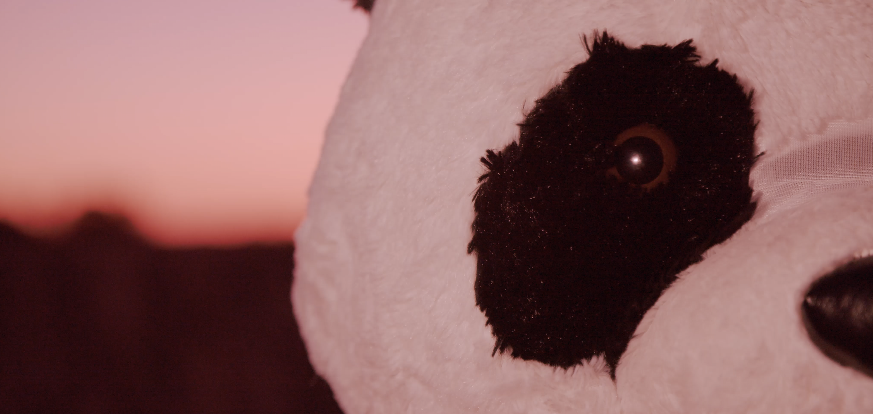 Panda Bear It Movie Film