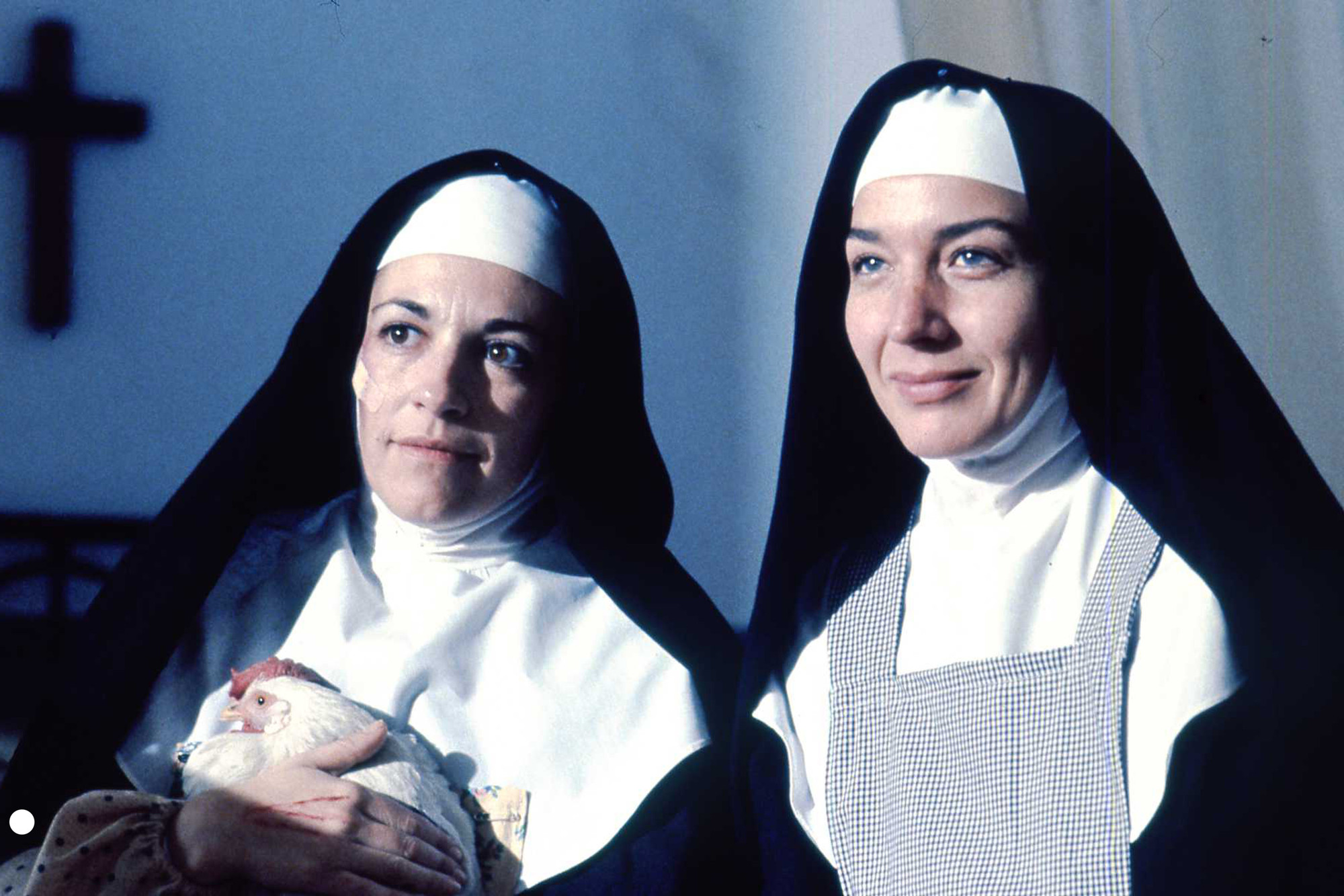 Dark Habits Movie Film