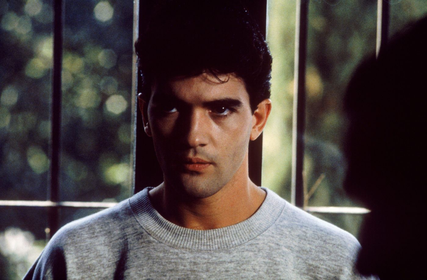 Antonio Banderas in Matador