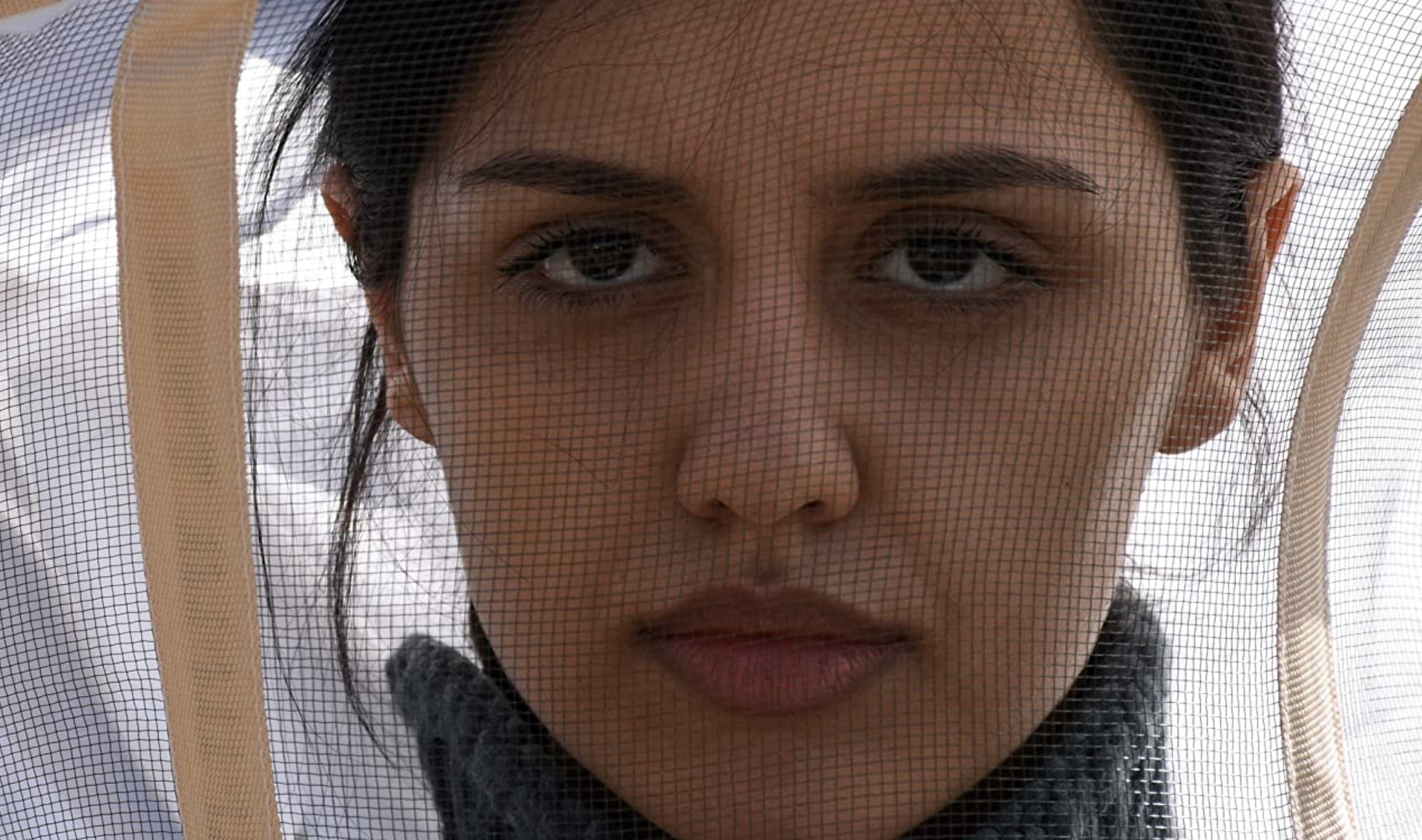 There Is No Evil Movie Review - 2020 Mohammad Rasoulof Film