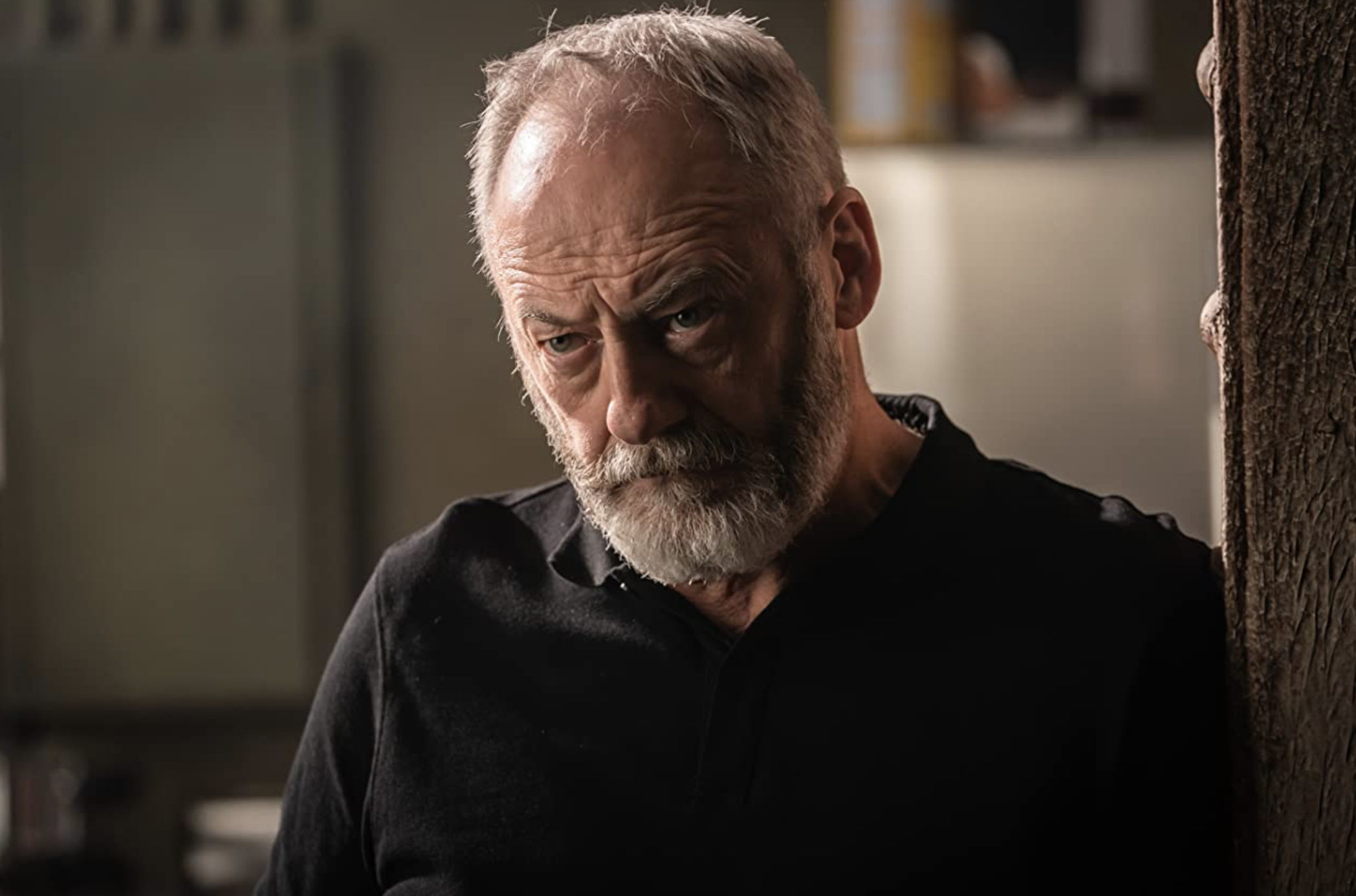 The Vault Cast - Liam Cunningham as Walter