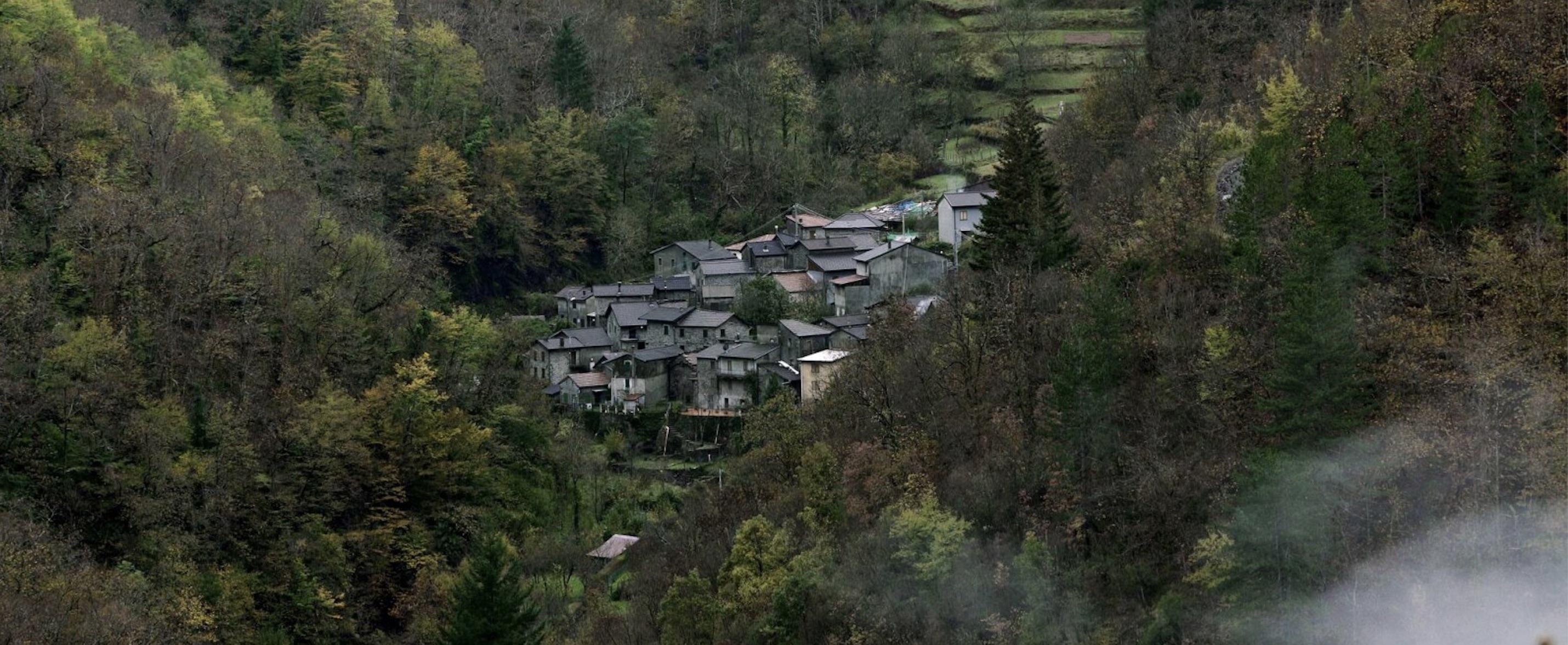 EIFF 2021 - Bosco Documentary