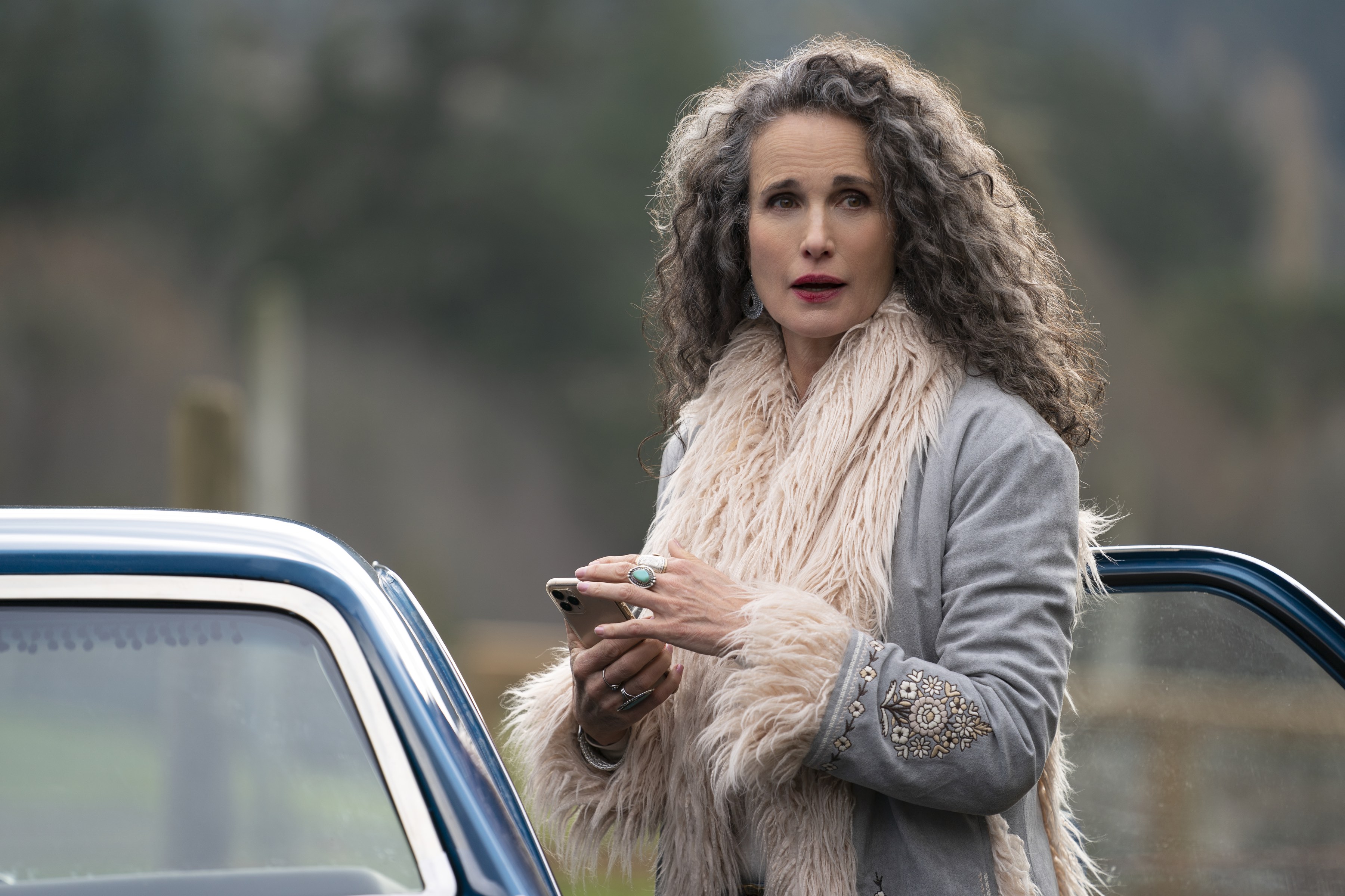 Maid Cast - Andie MacDowell as Paula