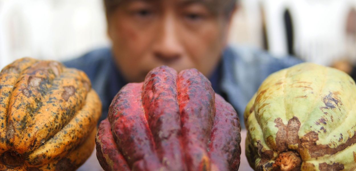 Chocolate Road Documentary Review - 2021 Tanya Chuturkova Film