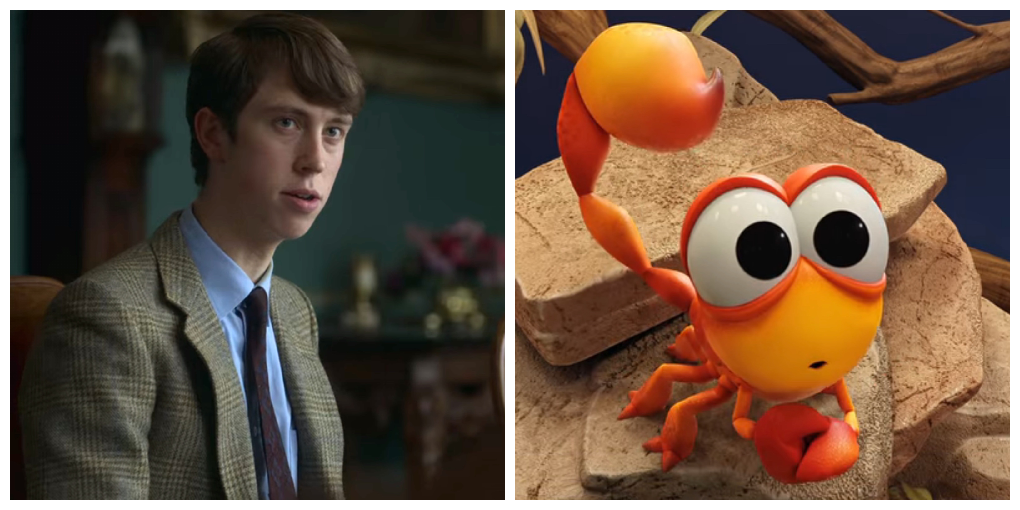 Back to the Outback Voice Cast - Angus Imrie as Nigel