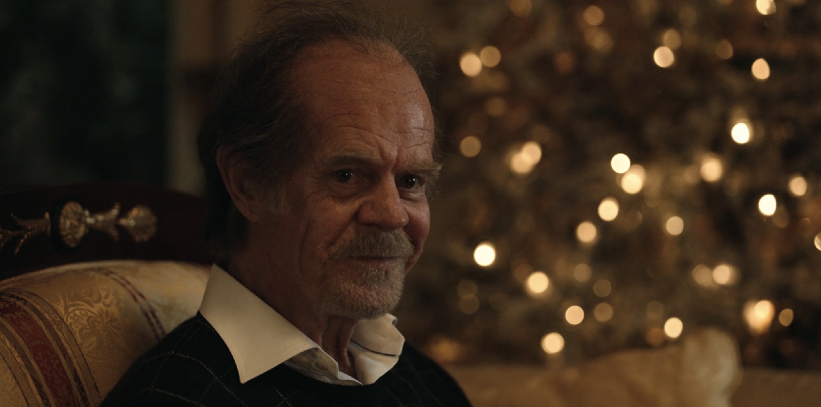 The Dropout Cast on Hulu - William H. Macy as Richard Fuisz