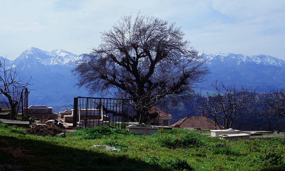Mariner of the Mountains Movie Review - 2021 Karim Aïnouz Film