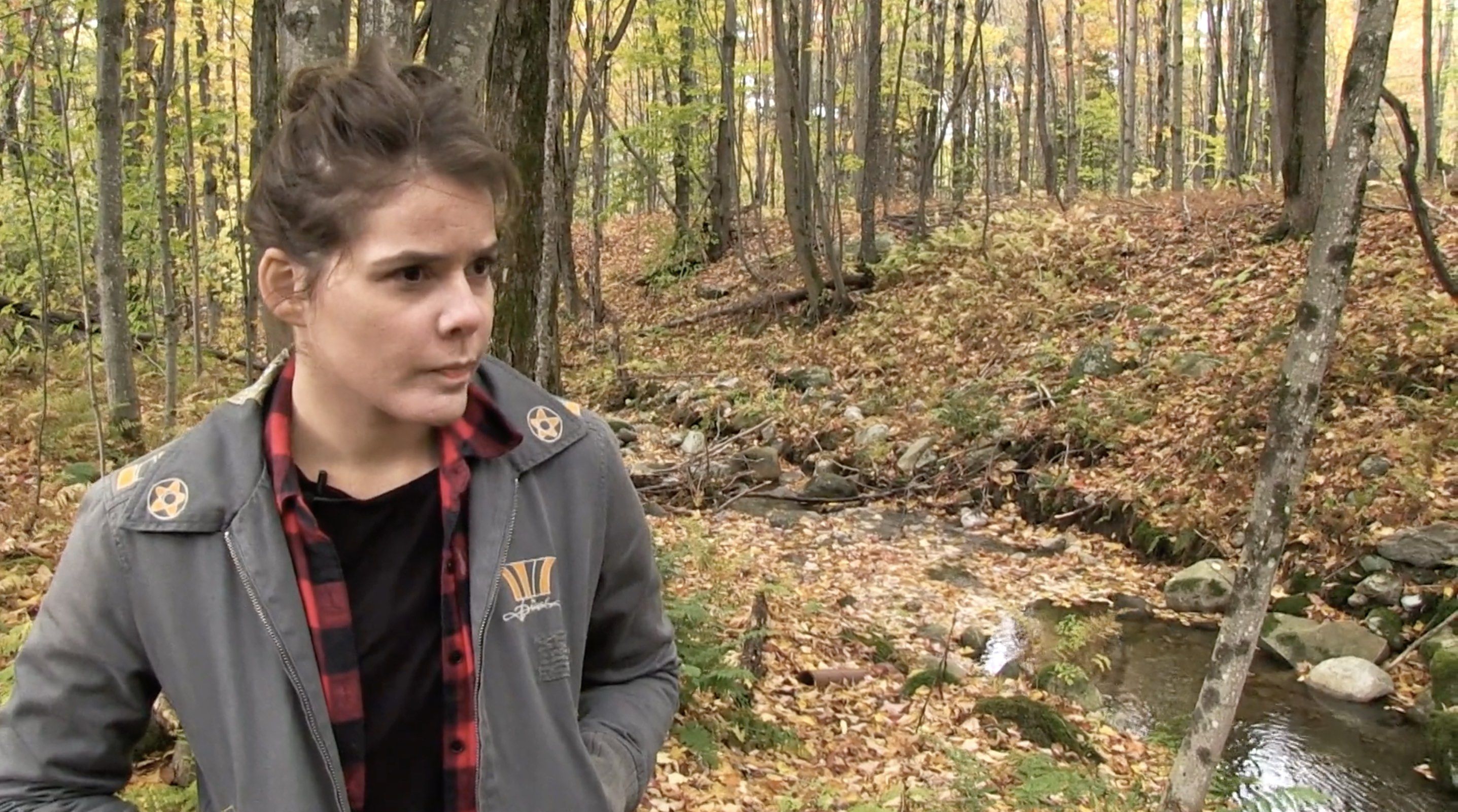 Ruth Stone's Vast Library of the Female Mind Movie Review - 2021 Nora Jacobson Documentary Film