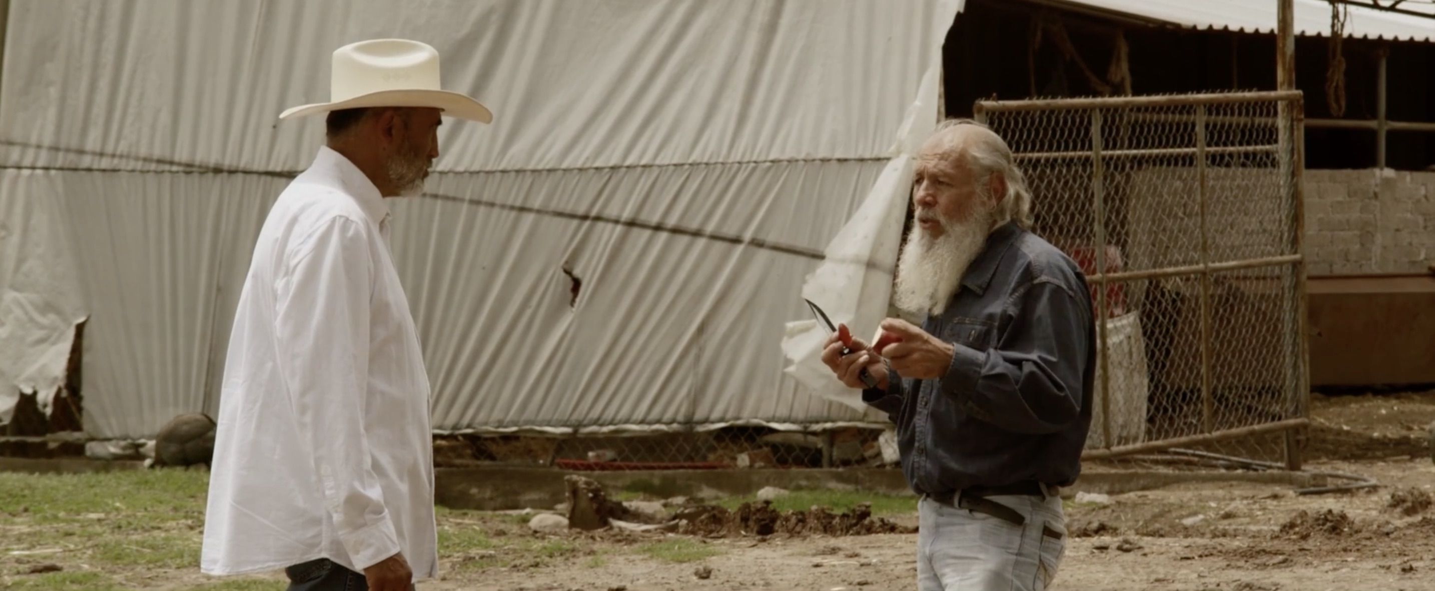 Surviving the Cartel Review - Ely Bams Crime Series