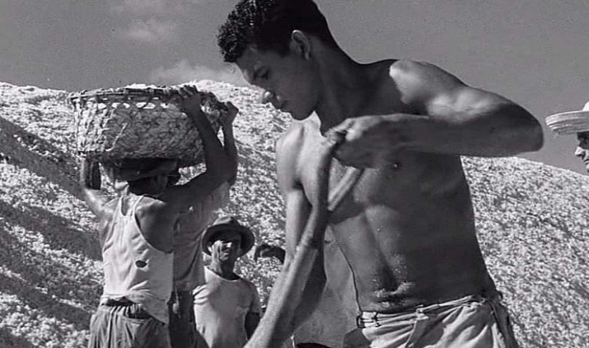 Araya Movie Essay - 1959 Margot Benacerraf Film