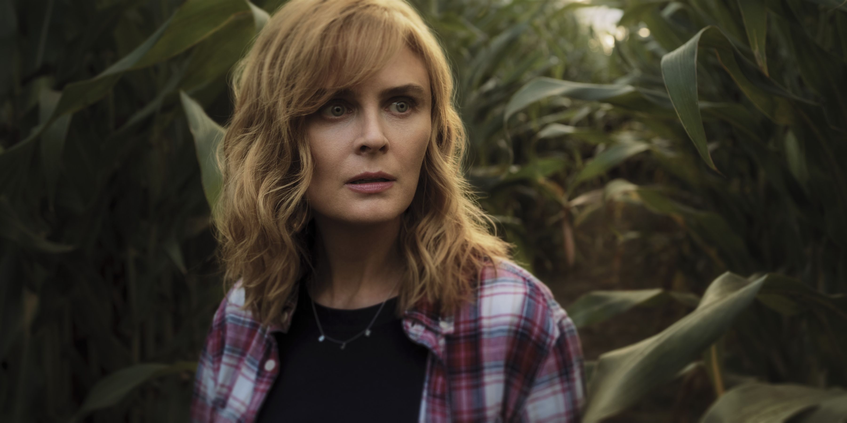 Devil in Ohio Cast on Netflix - Emily Deschanel as Suzanne Mathis