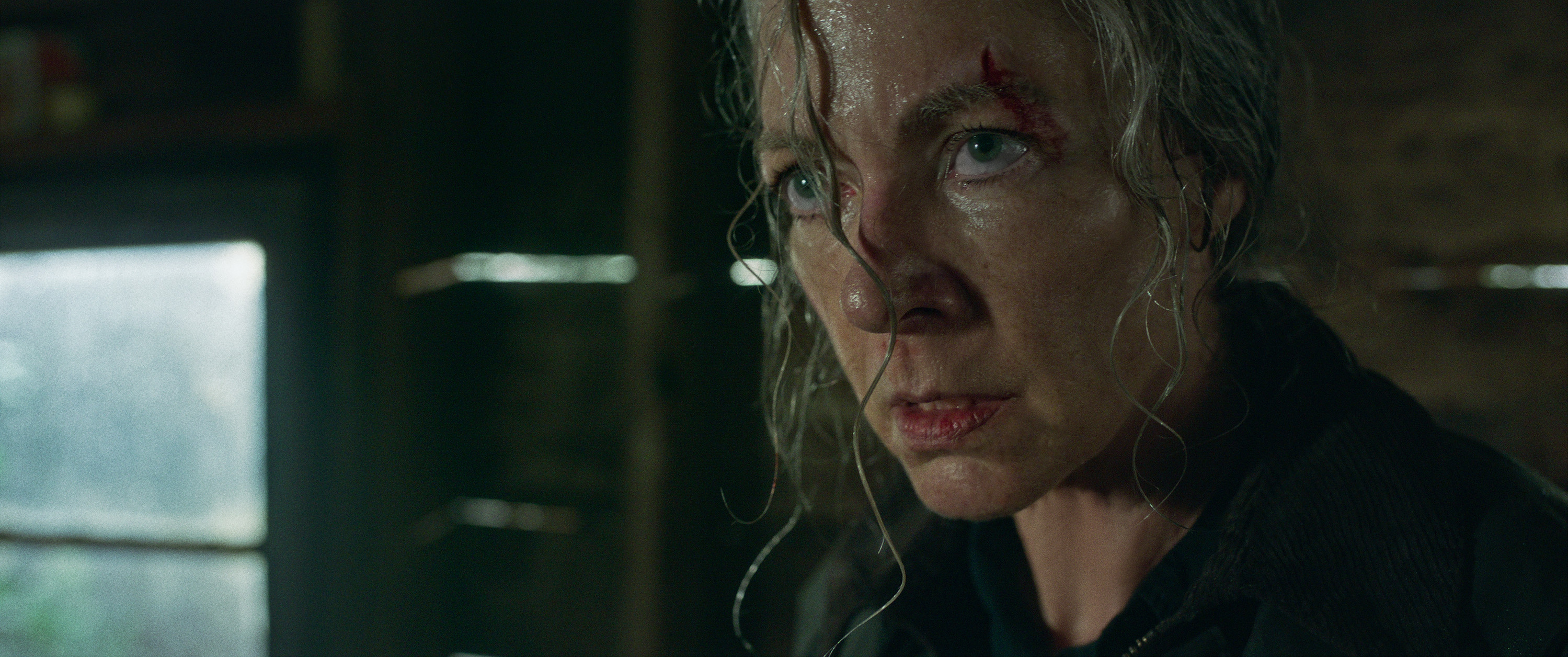 Lou Cast on Netflix - Allison Janney as Lou