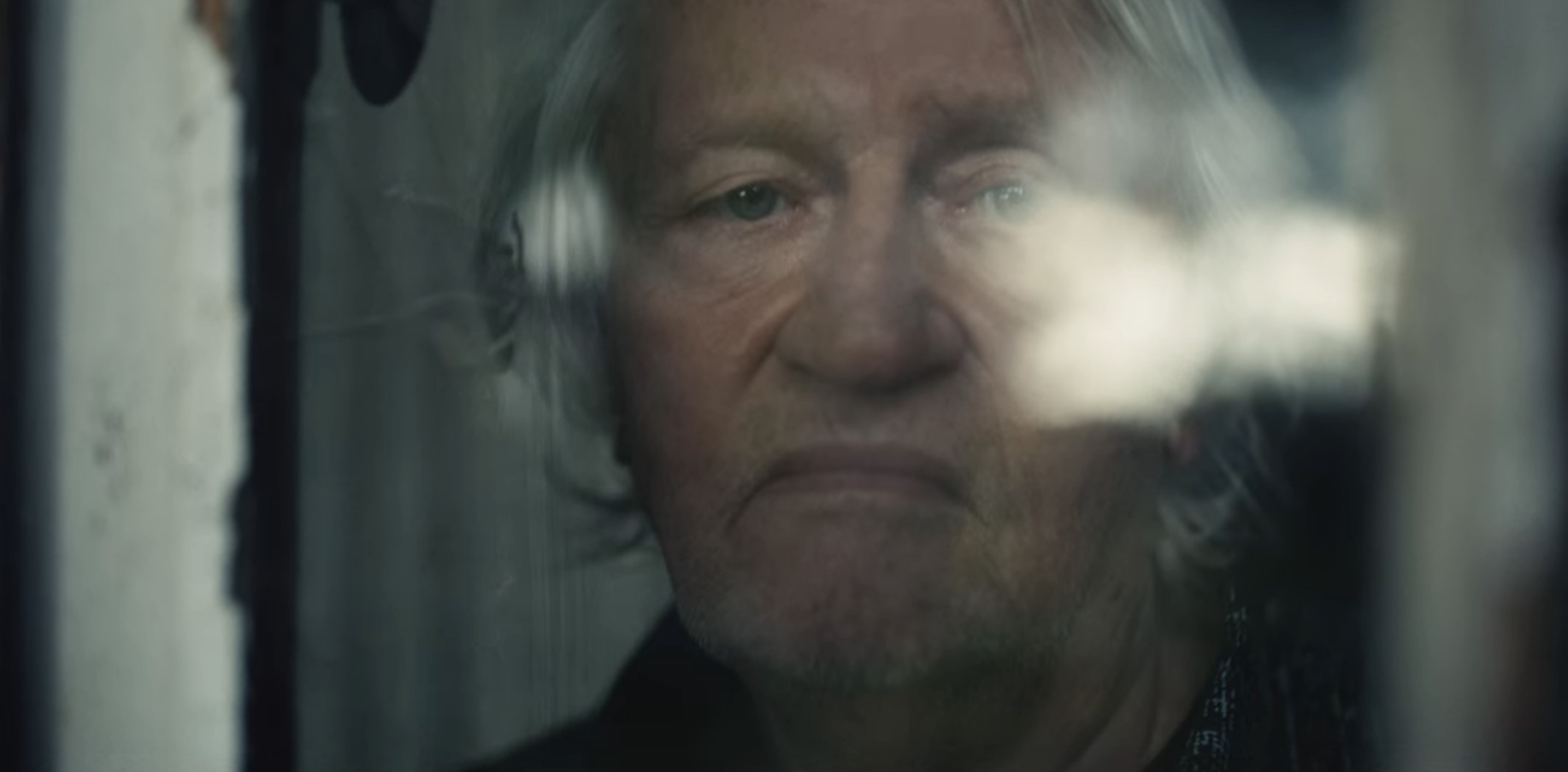 Black Butterflies Cast on Netflix - Niels Arestrup as Albert