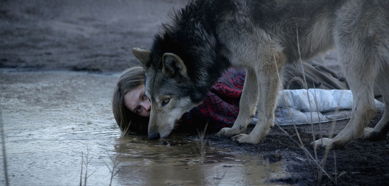 Wild Essay - 2016 Nicolette Krebitz Movie Love