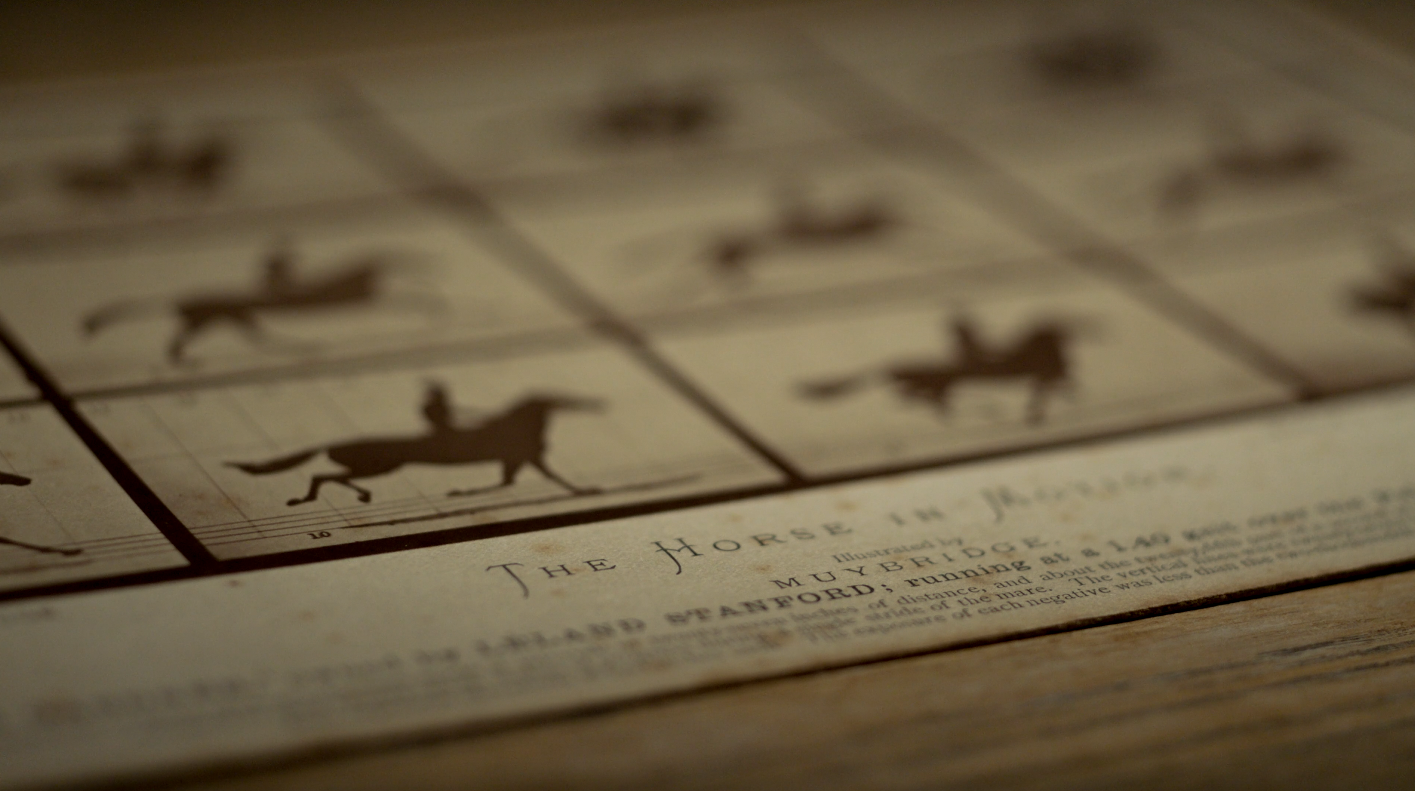 Exposing Muybridge Review - 2021 Marc Shaffer Documentary