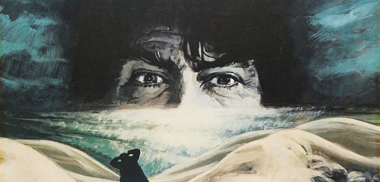 Jerzy Skolimowski Essay - The Shout Movie Film