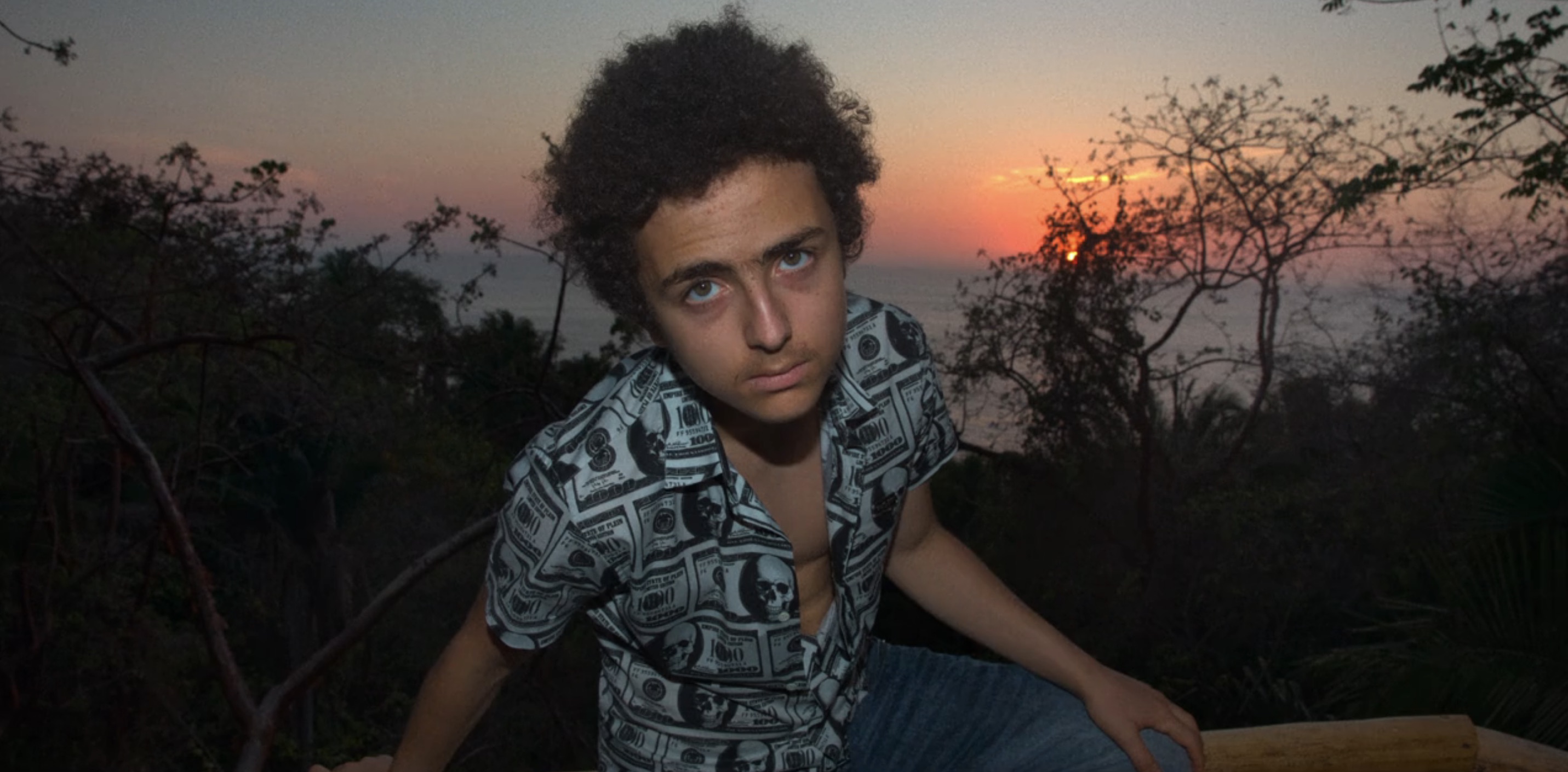 The Drop Cast on Hulu - Elisha Henig as Levi