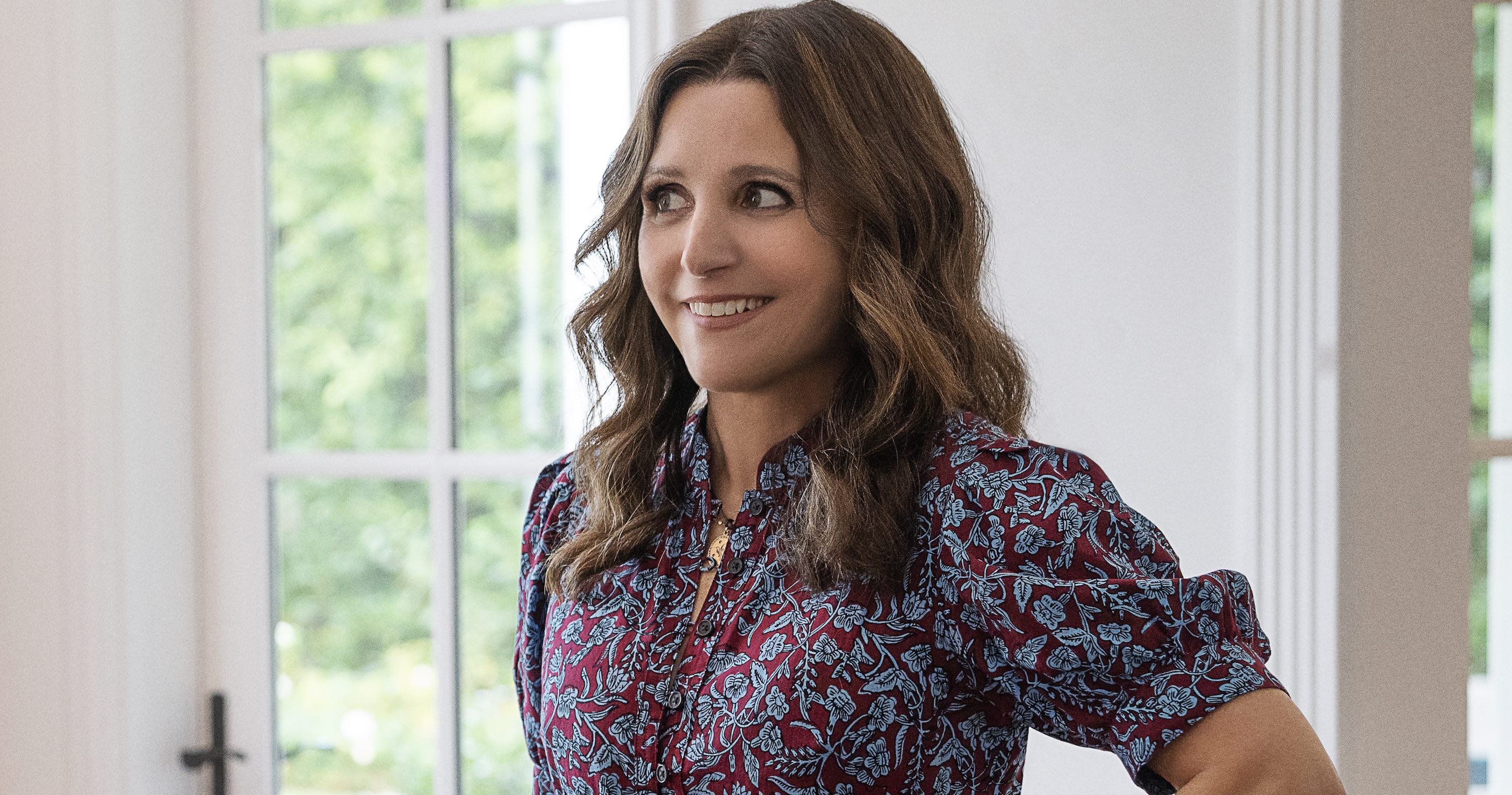 You People Cast on Netflix - Julia Louis-Dreyfus as Shelley Cohen