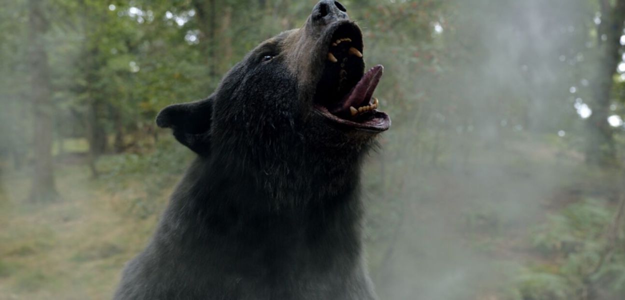 Cocaine Bear Review - 2023 Elizabeth Banks Movie Film